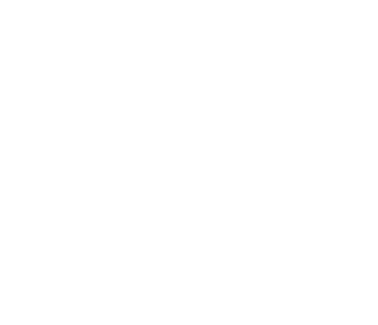 Smash logo